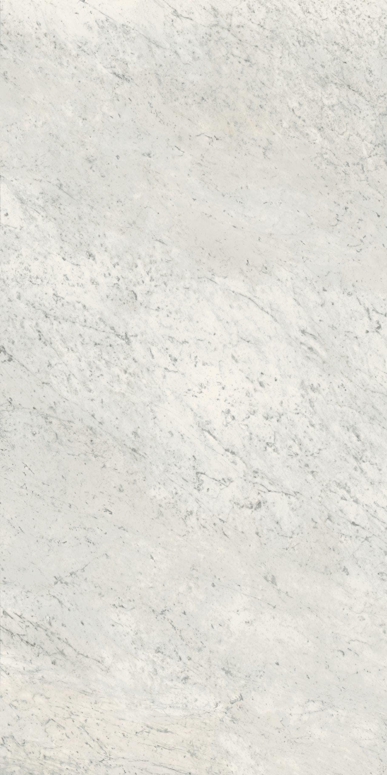 3100-H Carrara Bliss Lavistone Porcelain Full Slab