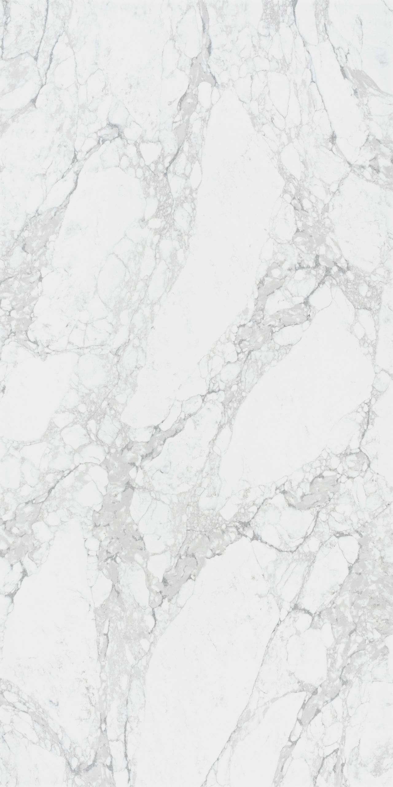 LS528 Calacatta Extra Lavistone Gen Surface (Vertical)