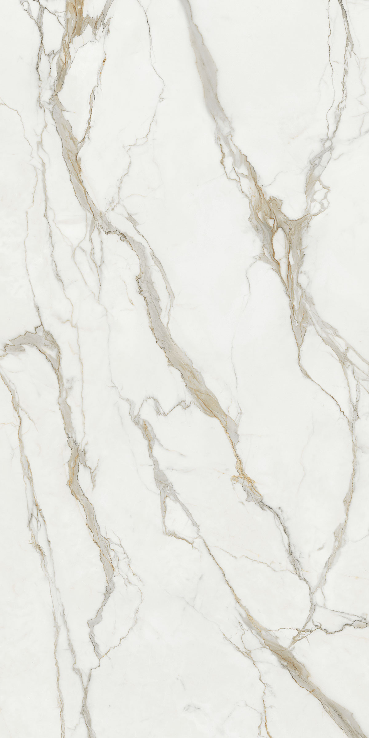 2111 M Calacatta Gold Lavistone Porcelain (Vertical)