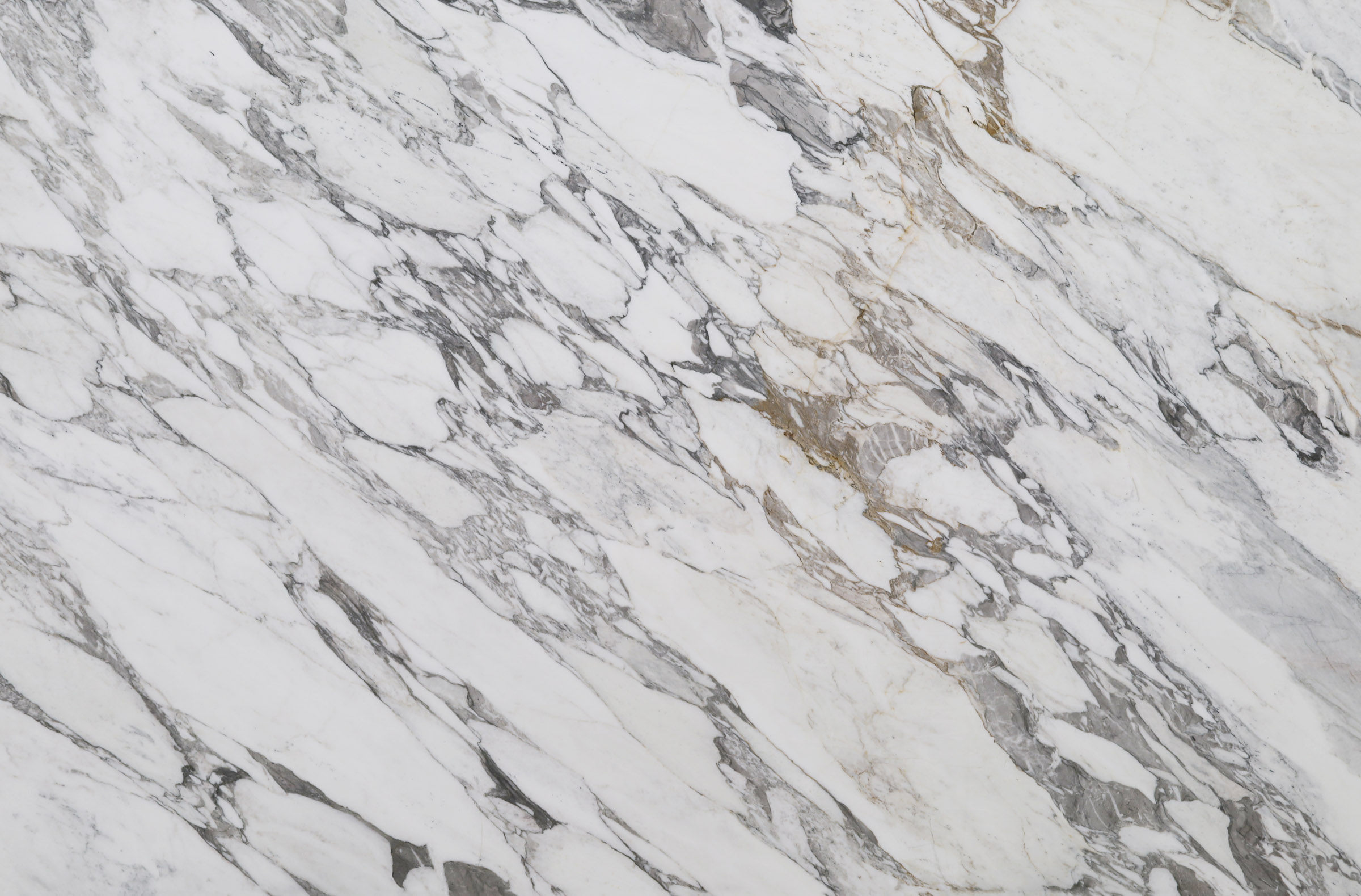 LVNS1012 Arabescato Vagli Lavistone Natural Stone 1