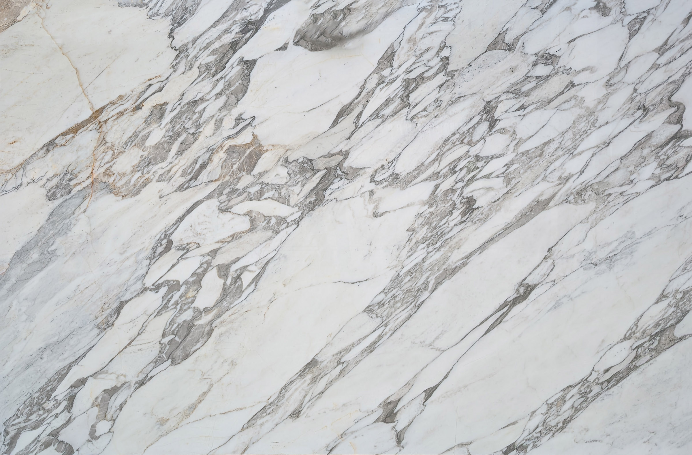 LVNS1012 Arabescato Vagli Lavistone Natural Stone