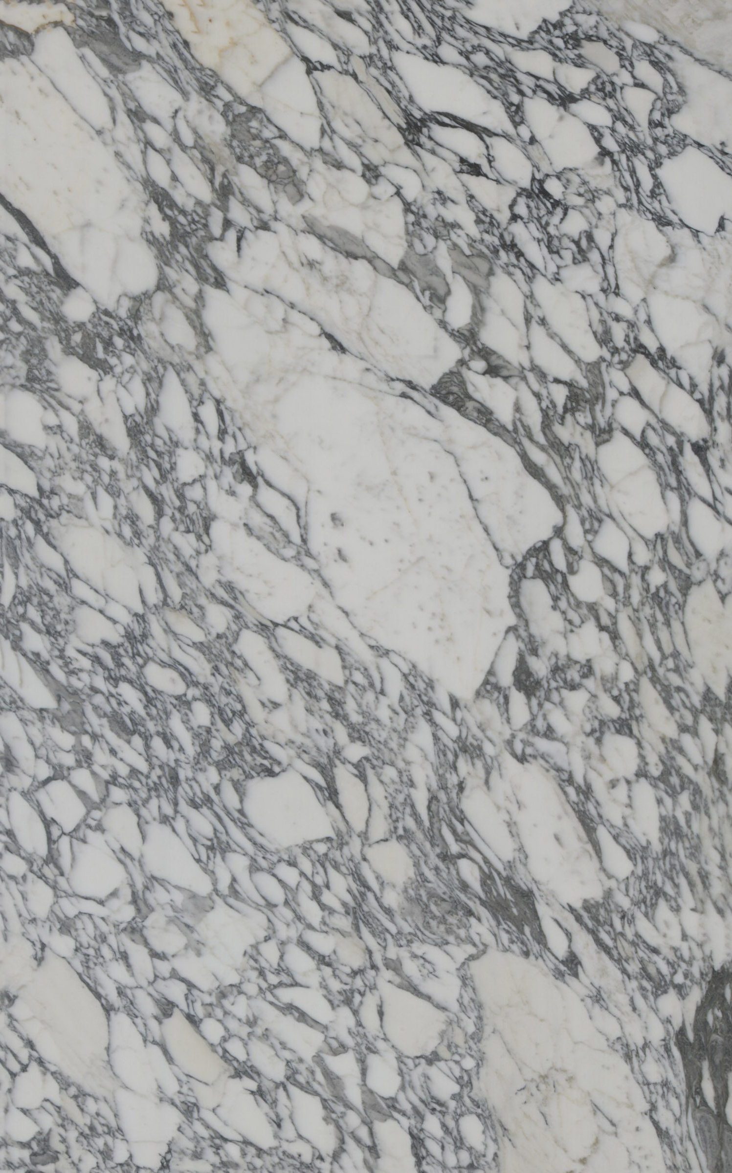 LVNS1102 Arabescato Corchia Lavistone Natural Stone