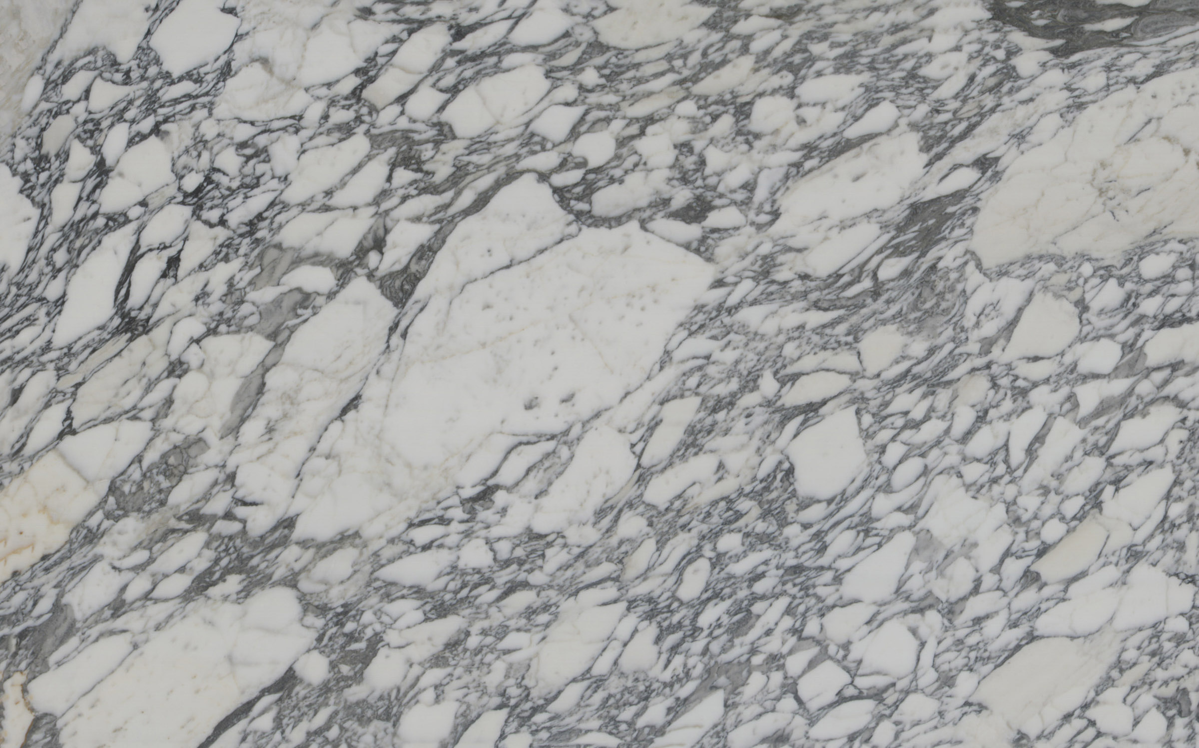 LVNS1102 Arabescato Corchia Lavistone Natural Stone