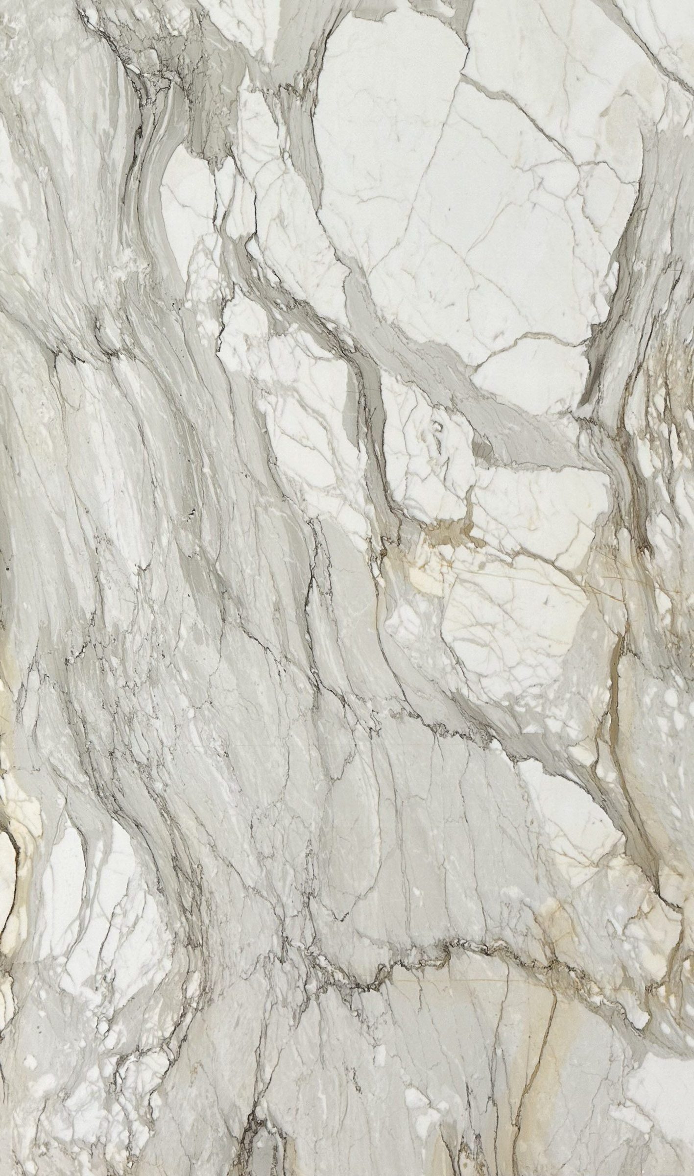 LVNS1223 Calacatta Oro Lavistone Natural Stone