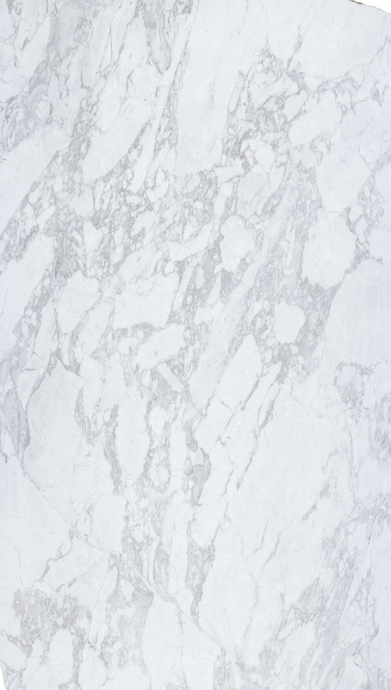LVNS1232 Calacatta Arabesque Lavistone Natural Stone