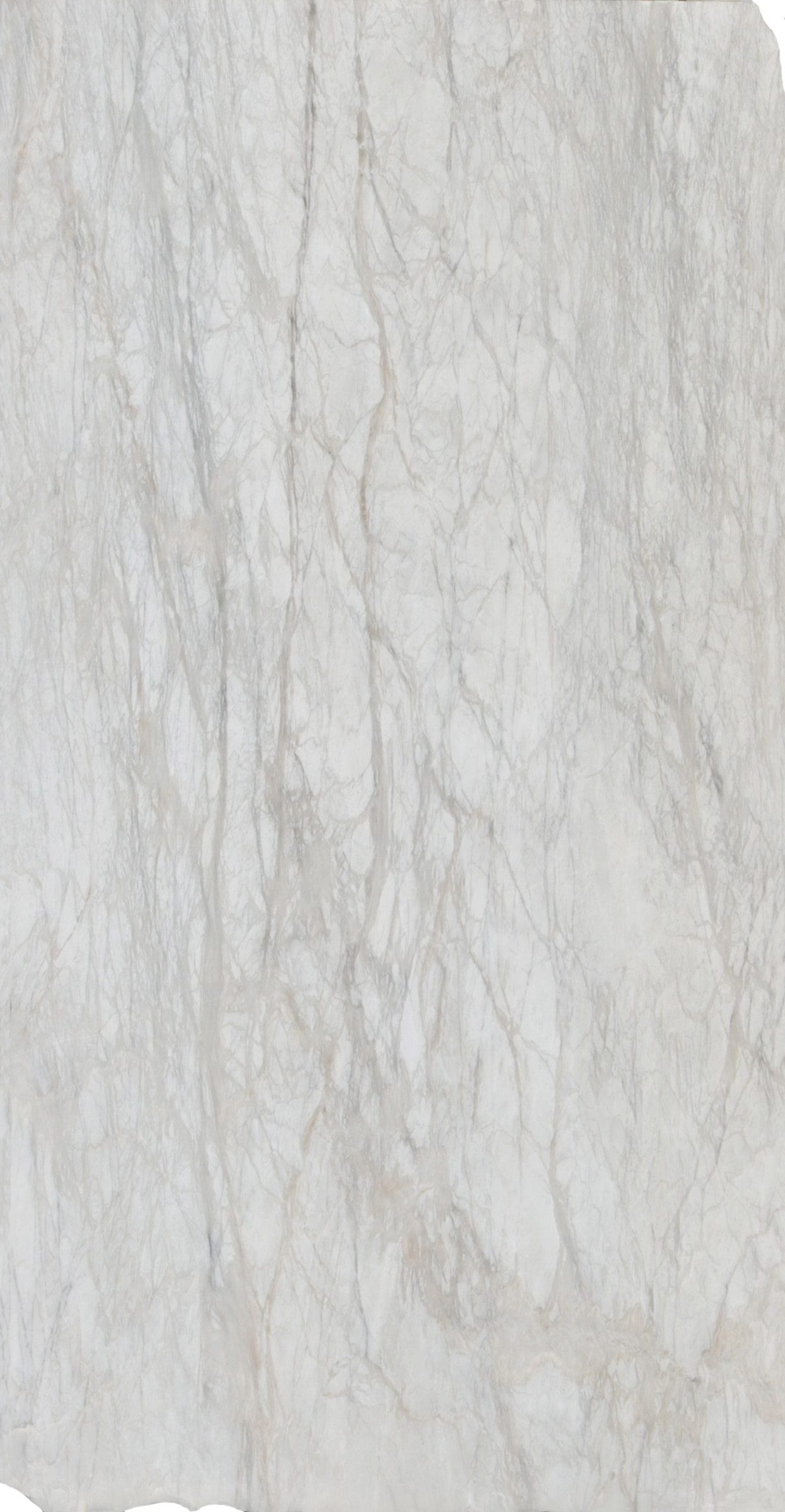 LVNS1244 Calacatta Polar Lavistone Natural Stone