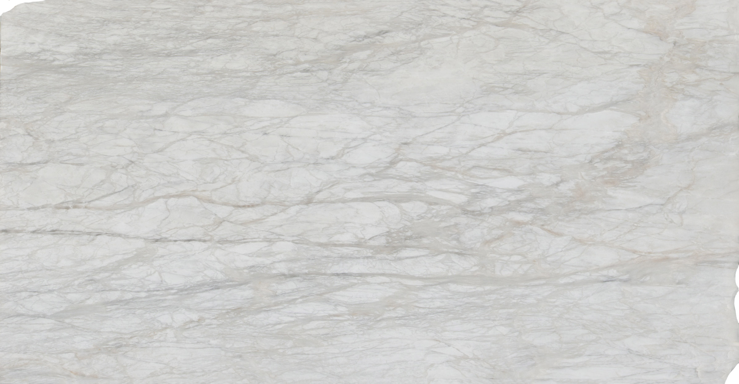 LVNS1244 Calacatta Polar Lavistone Natural Stone