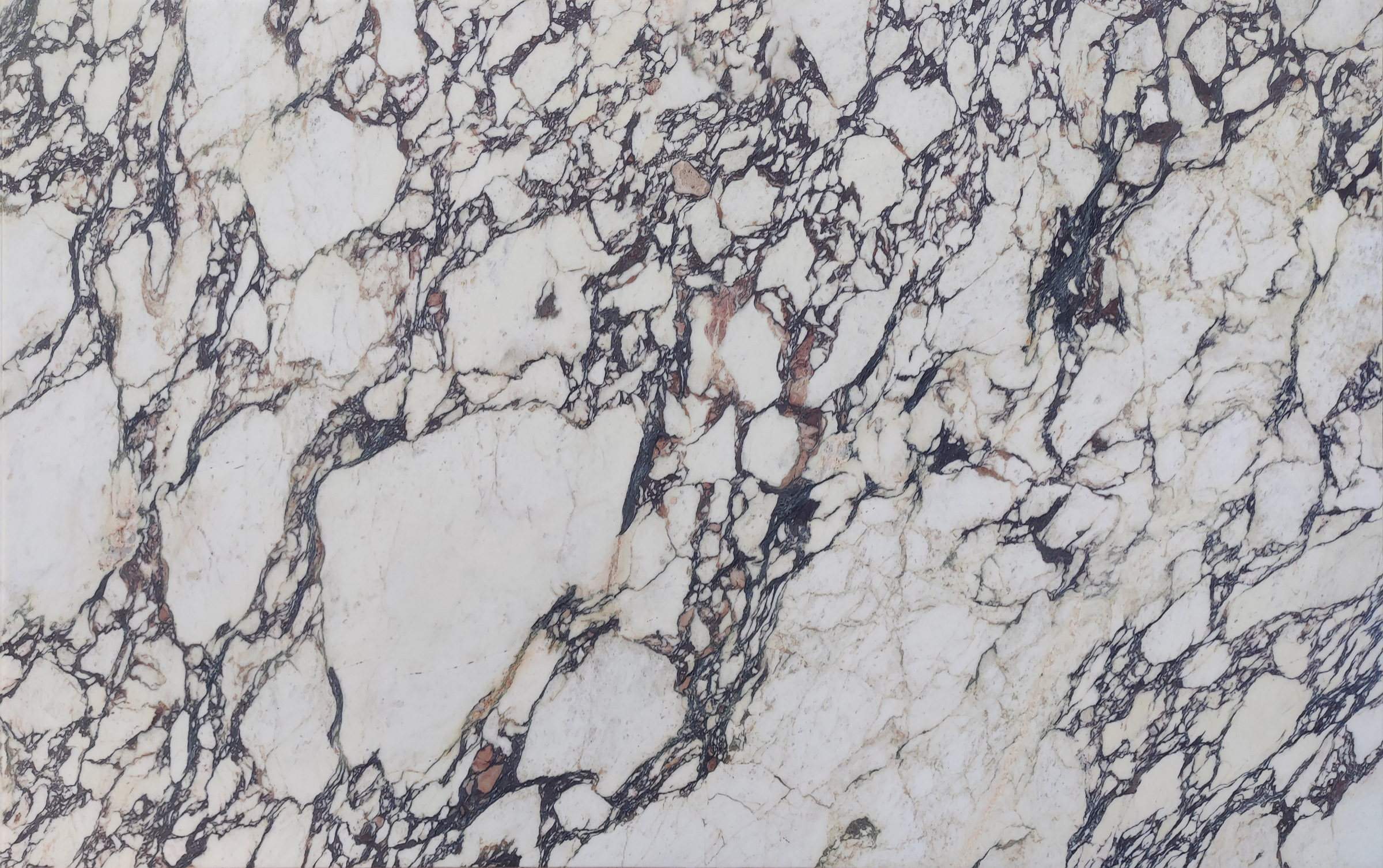 LVNS1803 Calacatta Viola Lavistone Natural Stone