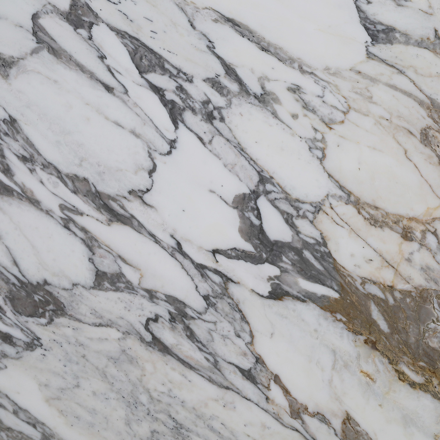 Lavistone Marble Square